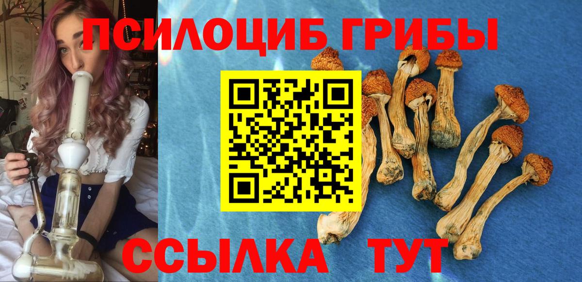 Галлюциногенные грибы Psilocybine cubensis Топки